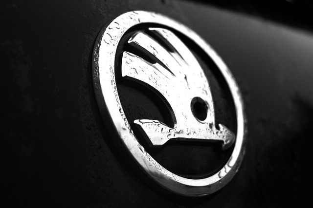 znak Škoda